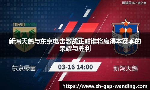 新泻天鹅与东京电击激战正酣谁将赢得本赛季的荣耀与胜利